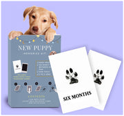 New Puppy Memories Kit: fab pet product for new puppy owners