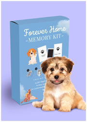 Forever Home Memory Kit (fab pet product - dog owners can tr
